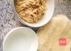 Spring roll recipe 10