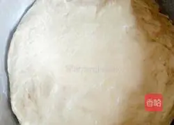 Illustration of how to make cornmeal cakes 4