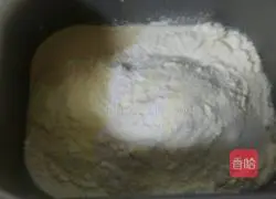 Illustration of the lazy version of hamburger embryo (one-time fermentation) 3