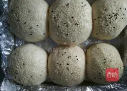 Illustration of how to make basic hamburger embryos 11