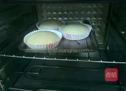 Illustration of how to make hamburger embryos 7