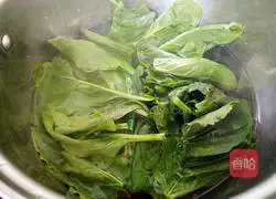 Spinach Pig Illustration of how to make liver porridge 2