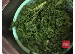 Illustration of how to make local vegetable spring rolls 1