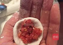 Yuanxiao Recipes Illustrated 10