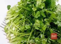 Illustration of homemade spring rolls 2