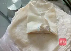 Illustration of how to make chicken spring rolls 9