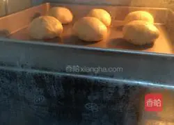 Illustration of how to make hamburger embryos 9