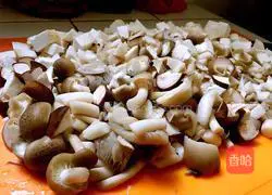 Mushroom Claypot Rice Recipe Illustration 1