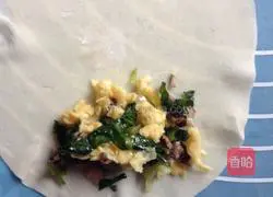 Illustration of how to make three fresh vegetarian spring rolls 5