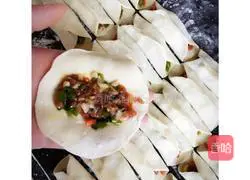 Pork and onion pot stickers ~ Recipe 4