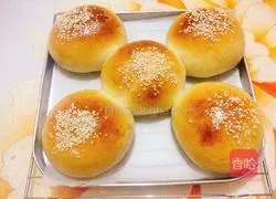 Illustration of how to make hamburger embryos 13