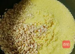 Millet Oat Pumpkin Porridge Recipe Illustration 3