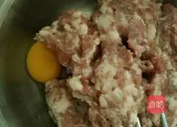 Pork and Cabbage Pie Recipe Illustration 4