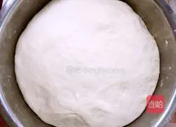 Illustration of steamed flower rolls 2