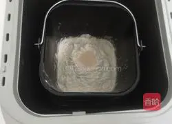 Illustration of how to make hamburger embryos 2