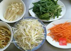 Spring Roll Vegetarian Recipe Illustration 6