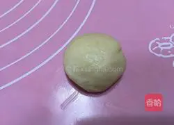 Illustration of how to make hamburger embryos 7