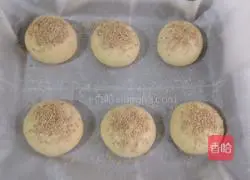 Illustration of how to make hamburger embryos 9