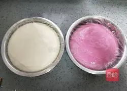 Pitaya flower roll recipe 3