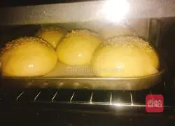 Illustration of how to make hamburger embryos 12