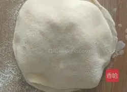 Illustration of how to make fennel meat box 13