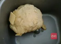 Lazy version of hamburger embryo (one-time fermentation) illustration 4