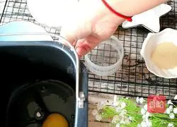 Illustration of how to make chicken drumsticks 1