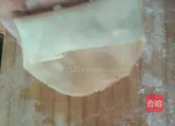 Thin Illustration of how to make paper-like spring rolls 10