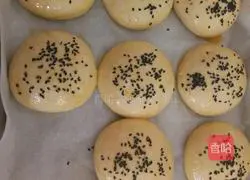 Illustration of how to make hamburger embryos 8