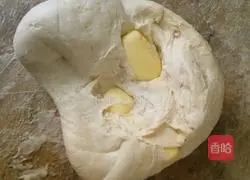 Illustration of how to make hamburger embryos 4