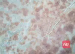 Leek Box Recipe Illustration 6