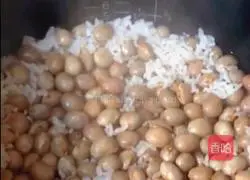 Illustrated recipe for braised peanut rice 10