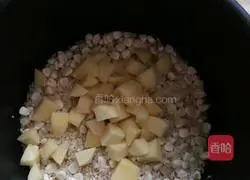 Potato braised rice recipe illustration 4