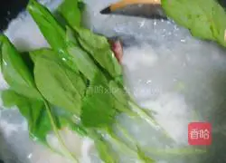 Illustration of how to make crucian carp soup and rice noodles 4