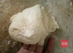 Illustration of how to make hamburger embryos 3