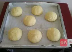 Burger Illustration of how to make embryos 7