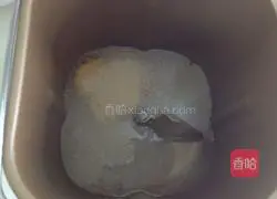 Hamburger embryo Illustration of how to do it 3