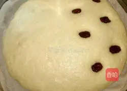 Illustration of how to make cornmeal cake 11