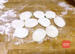 Illustration of how to make family version of pot stickers 6