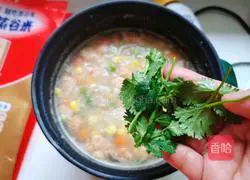 Illustration of how to make mixed vegetable and chicken porridge 9