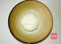 Illustration of how to make pot stickers 4