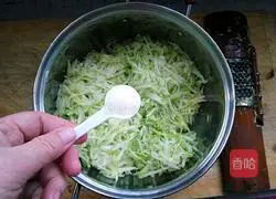 Zucchini pot stickers recipe 3