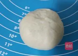 Illustration of how to make hamburger embryos 7