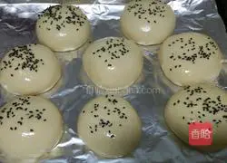 Burger Illustration of how to make embryos 11