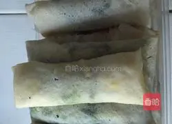 Spring roll recipe illustration 4