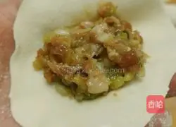 Illustration of how to make pork and cabbage pot stickers 9