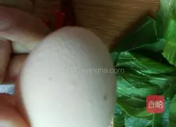 Illustration of how to make fried rice noodles with vegetables and eggs 3
