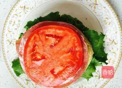 Big Mac Hamburger Recipe Illustration 18