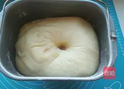 Illustration of how to make butter burger embryo 4