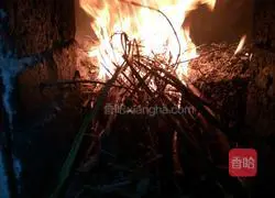 Sophora flower corn flour steamed bun recipe 5